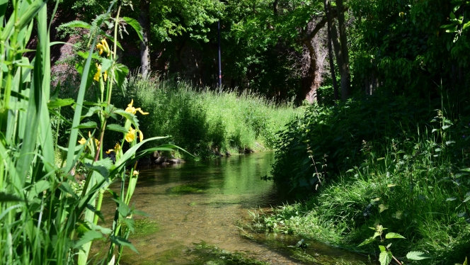 Die Heder in Salzkotten-Upsprunge © Touristikzentrale Paderborner Land